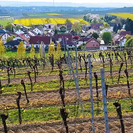 Gaestehaus Maurer شقة *