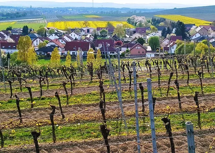 Gaestehaus Maurer شقة *